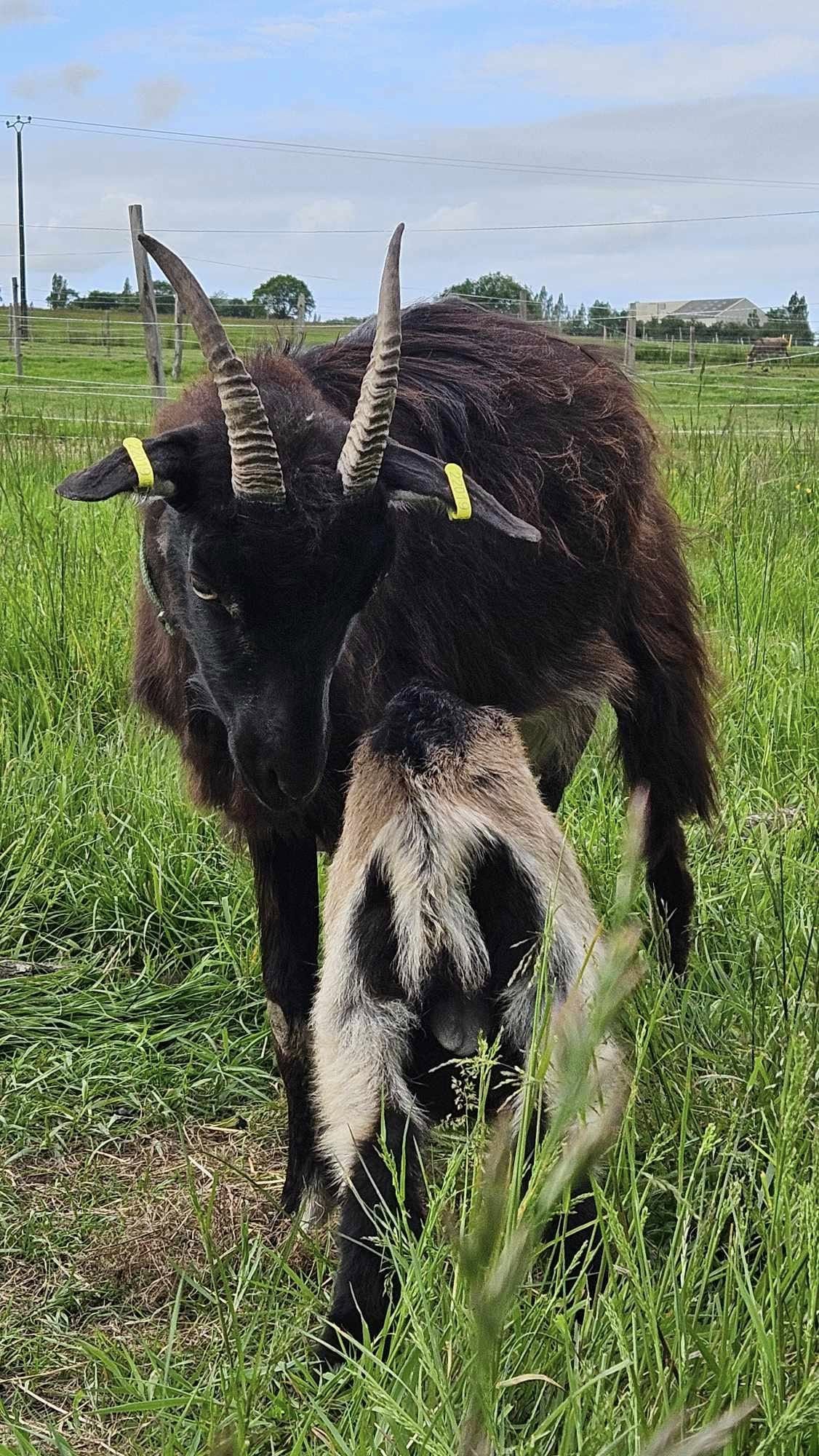 484651110_1001571041962575_6794106555293237114_n