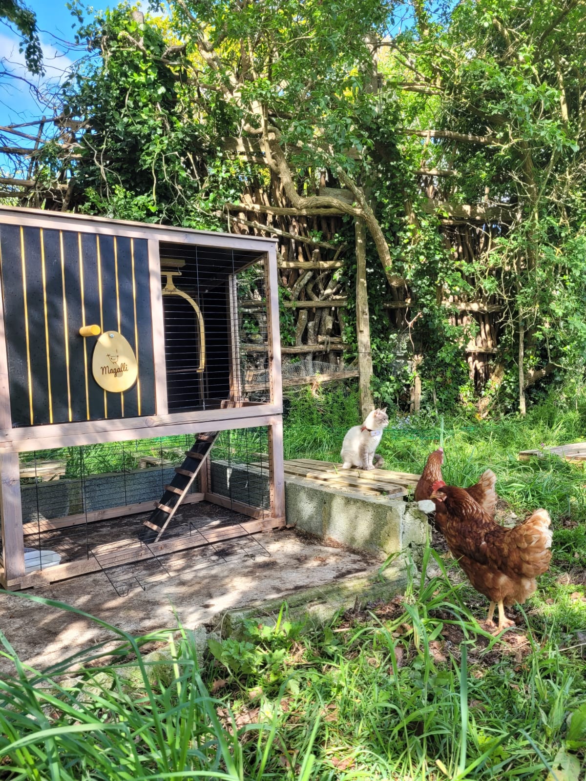 484829629_1001193045333708_5727170535086477655_n