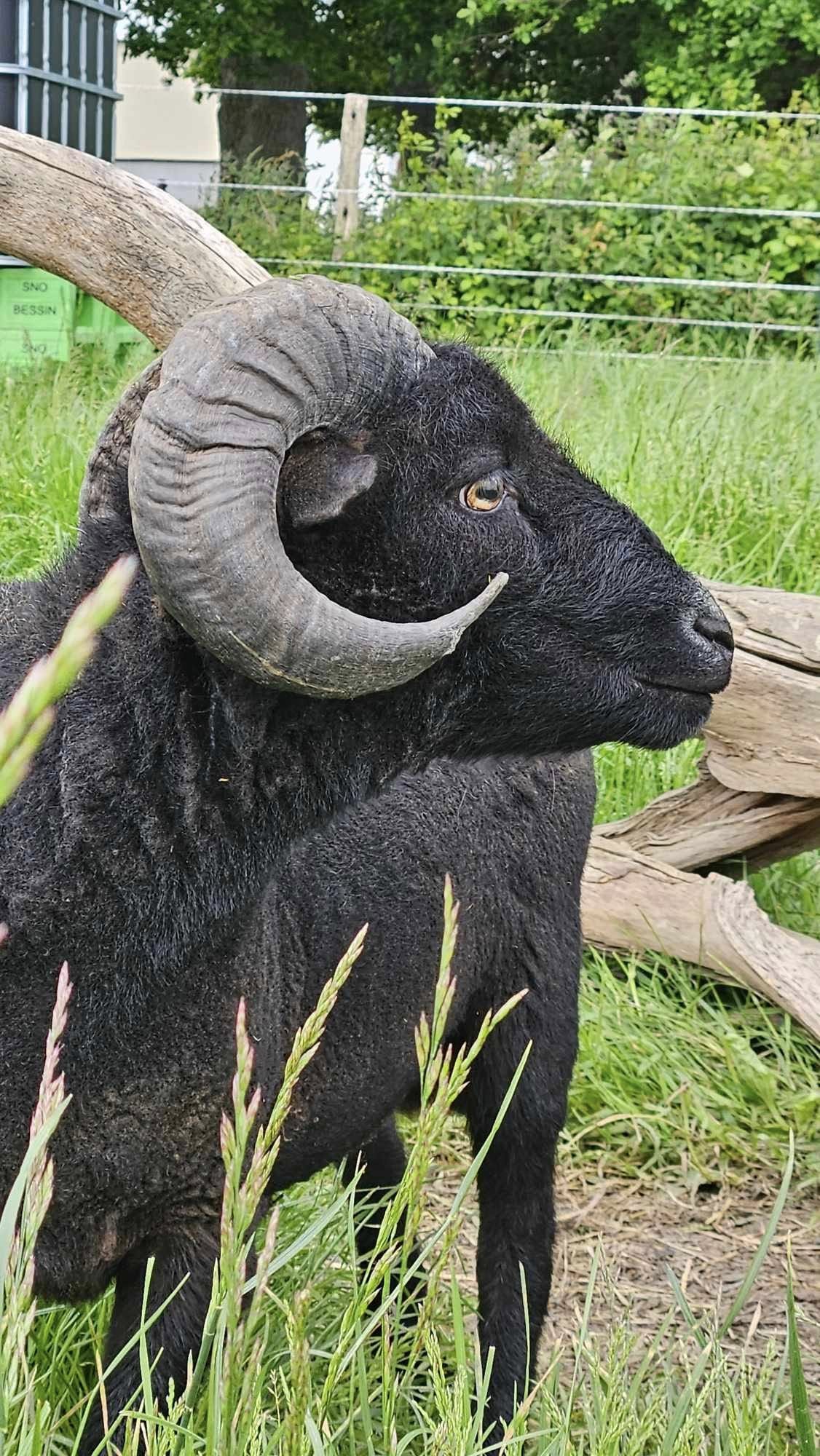 484874474_1001571271962552_4303495196798334188_n