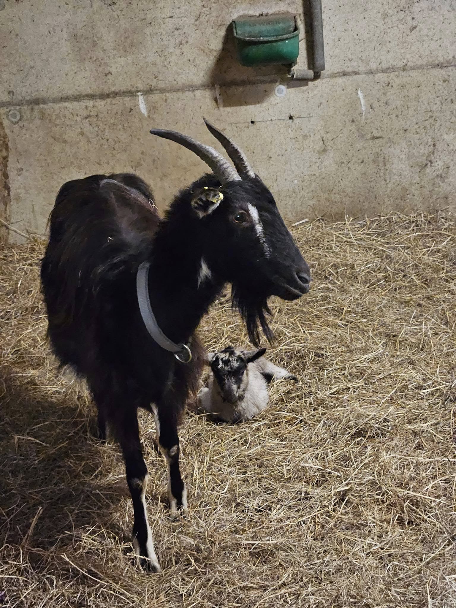 485288804_1001193035333709_7161850387323039165_n