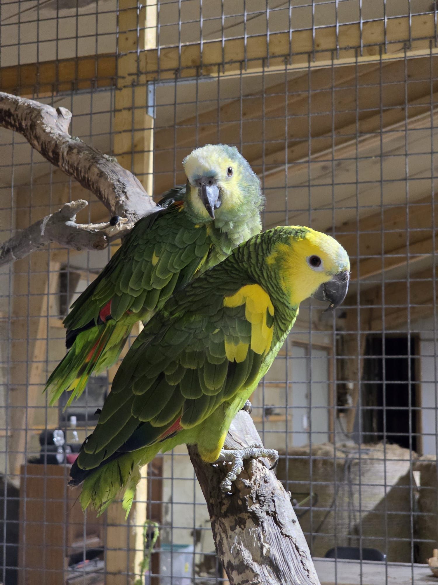 616781619_1235666228553054_7412536485877022269_n