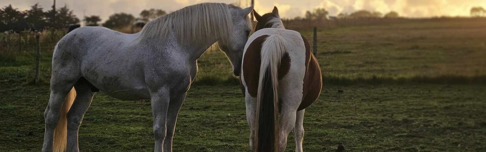 485766905_1001648108621535_4190583653360658708_n